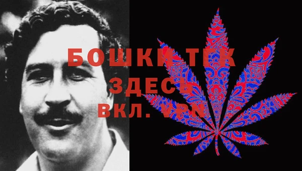 дживик Инсар
