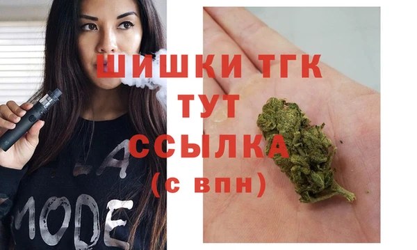 дживик Инсар